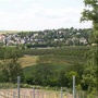 Vignoble and co