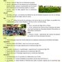KienheiMag NÂ°4 - Page 4