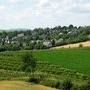Champs en bordure du village