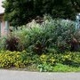 Massif fleuri Place Pflimlin (2014)