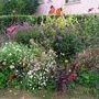 massif floral rue des Violettes