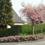 Lotissement Huneberg, avril 2019