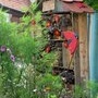 Cabanon Ã insectes (2010)