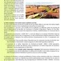 KienheiMag NÂ°4 - Page 6