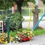 Livre fleuri aux abords de l'Ã©cole (2014)