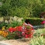 VÃ©lo fleuri, crÃ©ation de 2015
