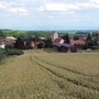 Champs de blÃ©