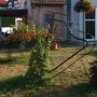 Place Pflimlin, aoÃ »t 2015